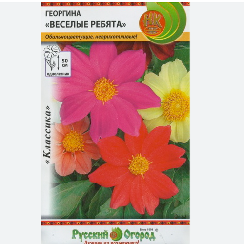 Семена Георгина 