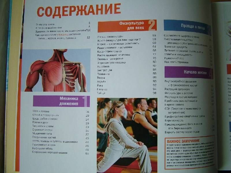 Здоровые суставы, кости и мышцы. как сохранить силу и гибкость на всю жизнь - фото №8