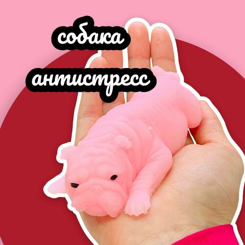 Мялка антистресс сквиши Собака Соня игрушка для мальчика и девочки большая 11 см Розовая 599₽