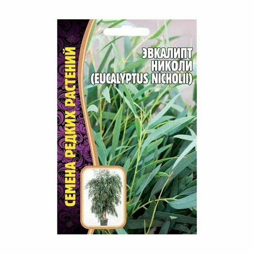 Эвкалипт Николи 0,01 г редкие семена (2шт в заказе)