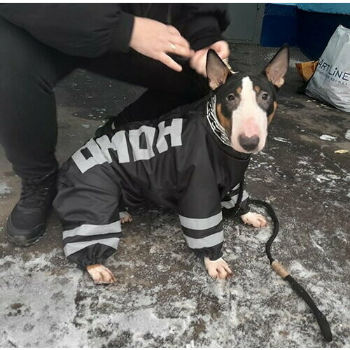 Теплый комбинезон для бультерьера суки на флисе повышенной прочности цвет черный с надписью омон 3900₽