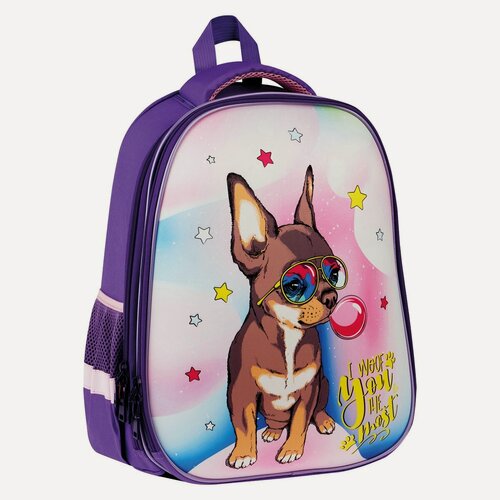 Изображение товара Ранец школьный ArtSpace School Friend "Woof" 39x30x18см, 2 отделения, 2 кармана, анатомическая спинка, 4шт. (Uni_17754)