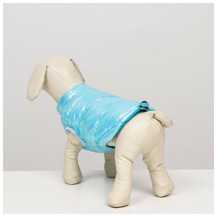 Куртка для собак двухсторонняя с утяжкой,размер 12 (ДС 28 см,ОГ 38 см,ОШ 27 см), голубая - фотография № 3