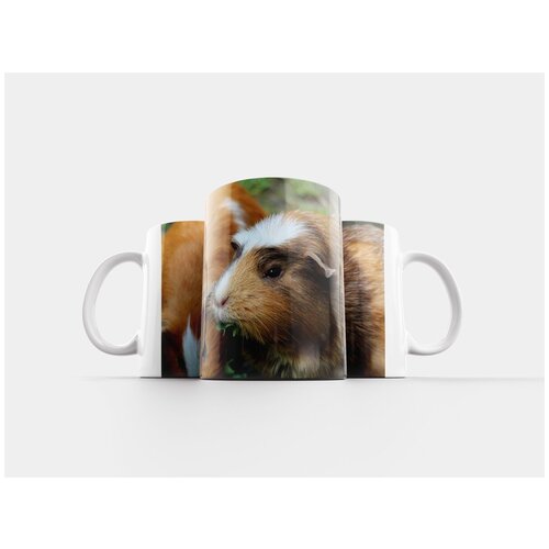 фото Кружка "морская свинка, домашние морские свинки, форма cavia porcellus" 320 мл lotsprints