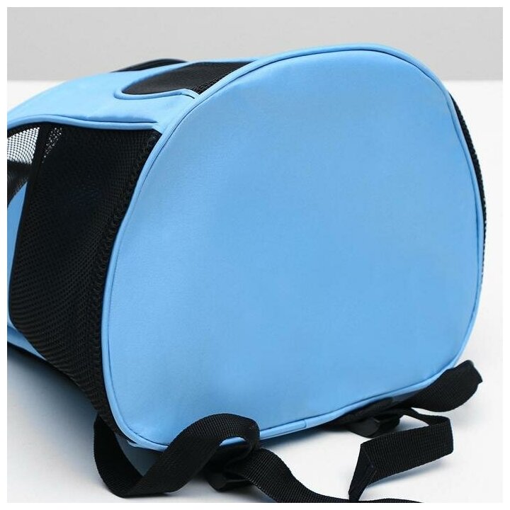 Рюкзак для переноски животных, 31,5 х 25 х 33 см, голубой 5266376 - фотография № 9