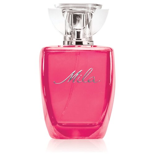 туалетная вода женская mila 100 мл dilis parfum 9049477 Dilis Parfum туалетная вода Mila, 100 мл, 319 г