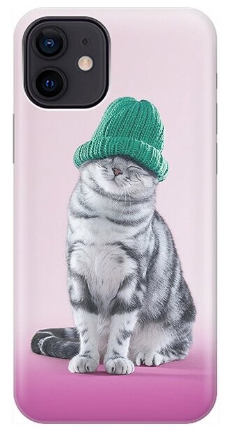 Силиконовый чехол на Apple iPhone 12 / 12 Pro / Эпл Айфон 12 / 12 Про с рисунком "Кот в зеленой шапке"