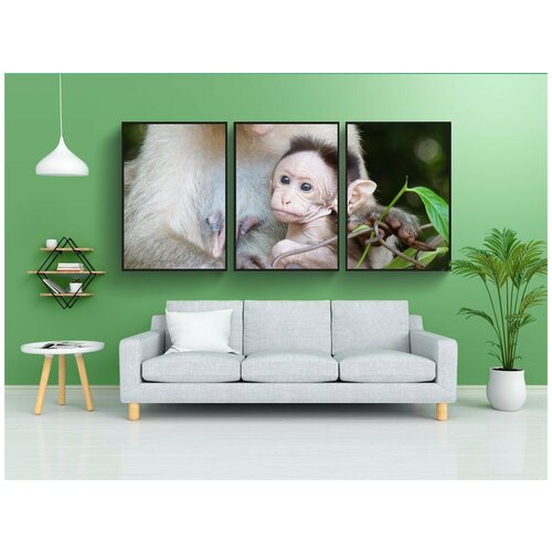 фото Набор модулных постеров для интерьера "материнство, жизнь обезьяны, животное ребенка" 60x90 см. в тубусе, без рамки lotsprints
