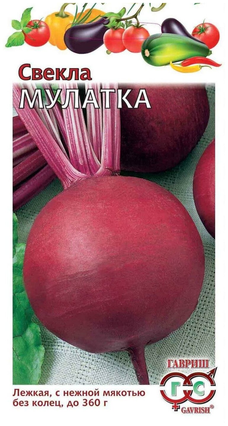 Семена. Свекла "Мулатка" Н11 (вес: 2,0 г)