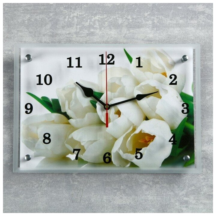 Часы настенные, серия: Цветы, "Тюльпаны", 25х35 см 3519823