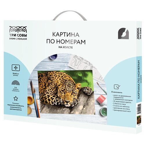 Картина по номерам на холсте ТРИ совы 