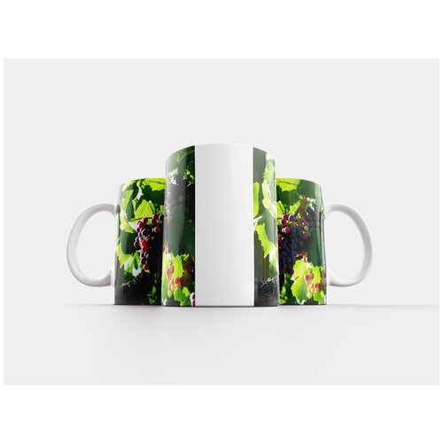 фото Кружка "лоза, виноград, созревание" 320 мл lotsprints