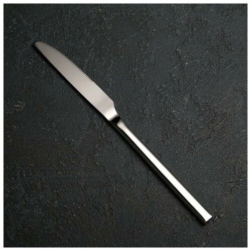 Нож столовый «Тайфун», h=22,5 см