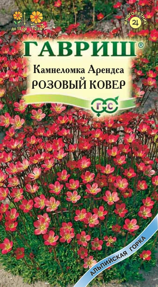 Камнеломка Арендса Розовый ковер* 0,01г