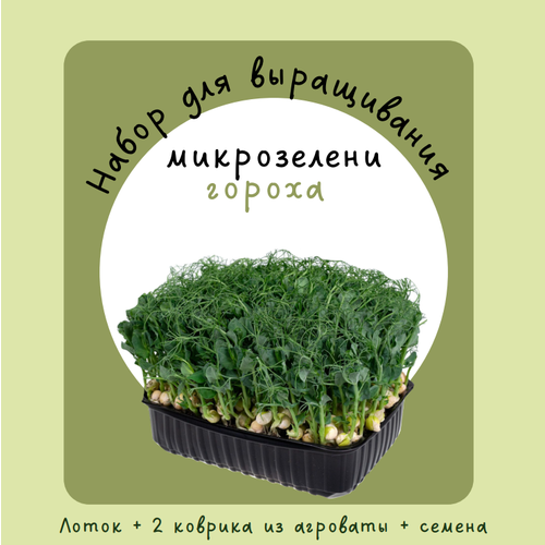 Набор Горох Правильное Питание для выращивания микрозелени