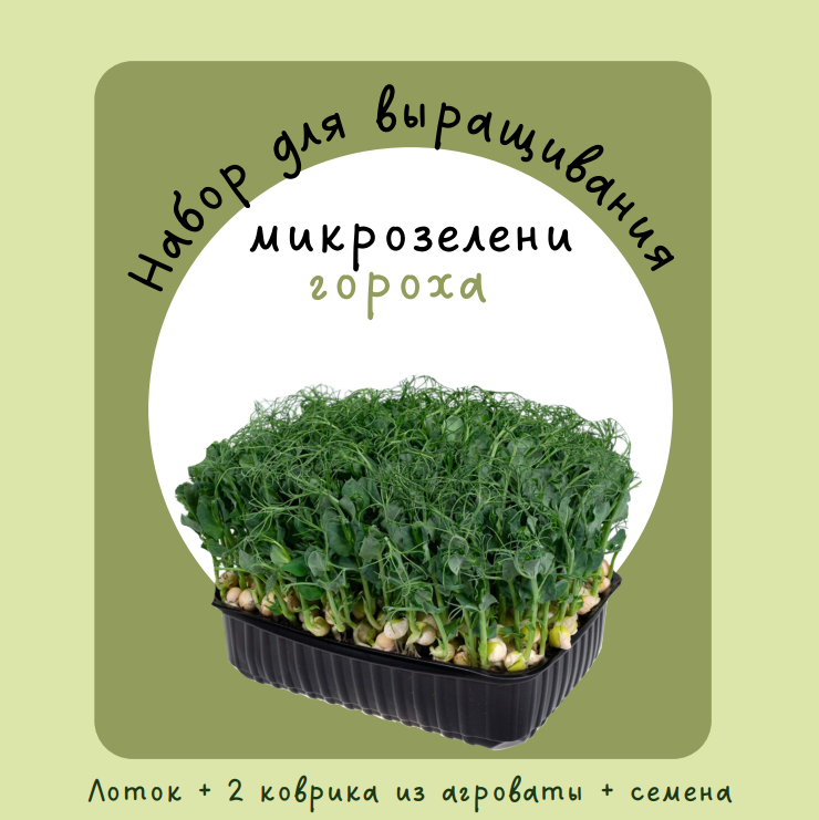 Набор "Горох Правильное Питание" для выращивания микрозелени