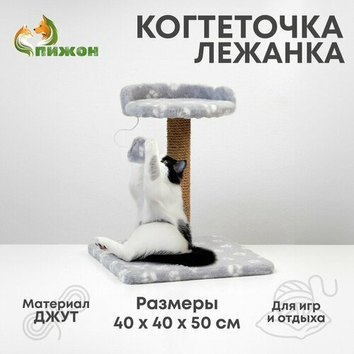 Когтеточка малая Арена с игрушкой, 40 х 40х 50 см, джут, серая с лапками когтеточка малая арена с игрушкой 40 х 40х 55 см джут серая с лапками 1 шт