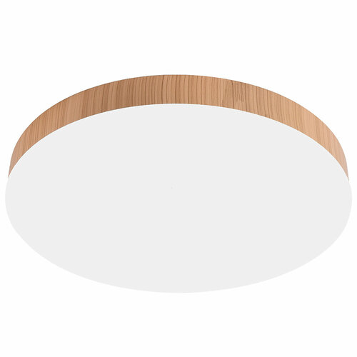 Светильник накладной светодиодный FERON AL1600 51111 7040₽