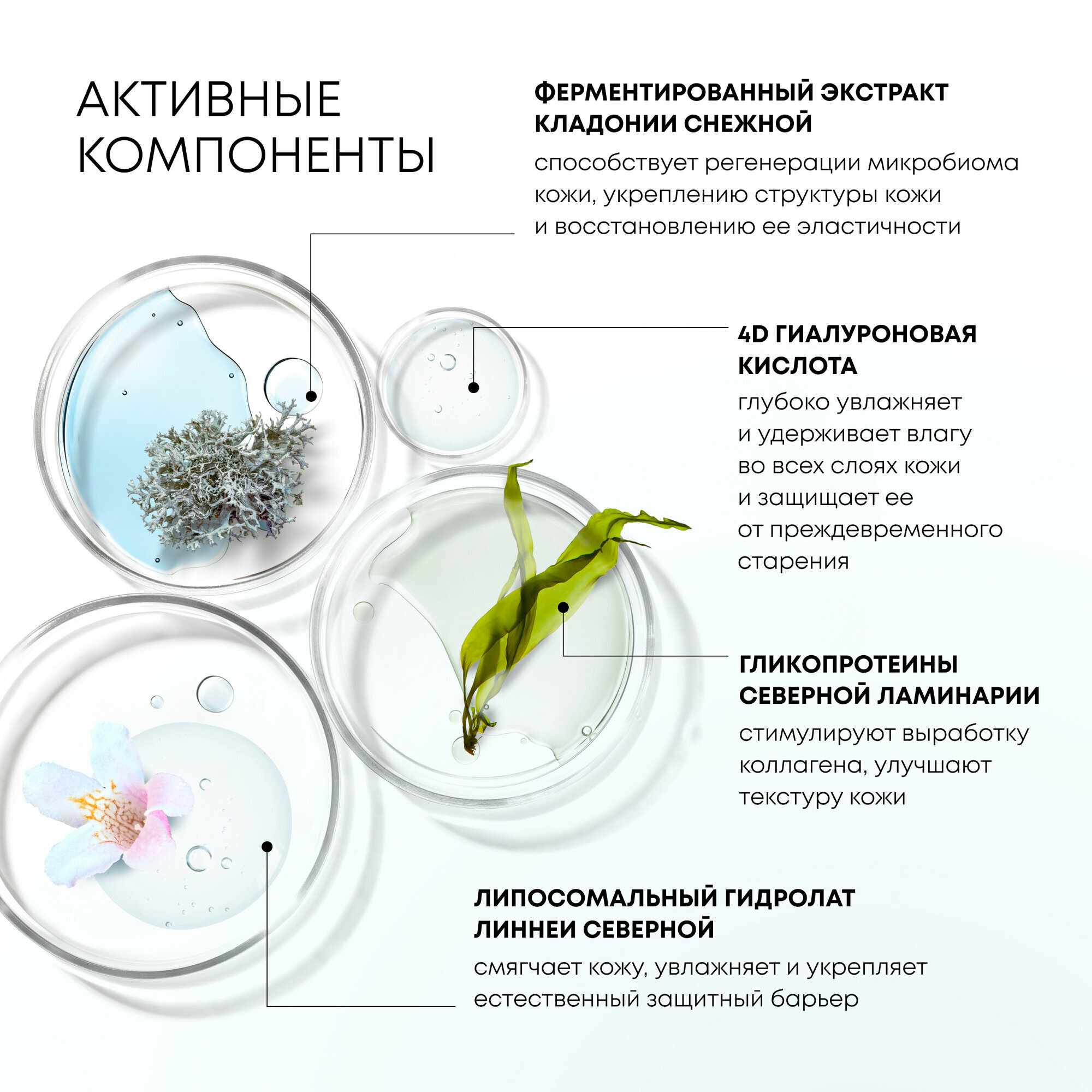 Гиалуроновая мицеллярная вода для всех типов кожи Natura Siberica LAB Biome Hydration, 450 мл