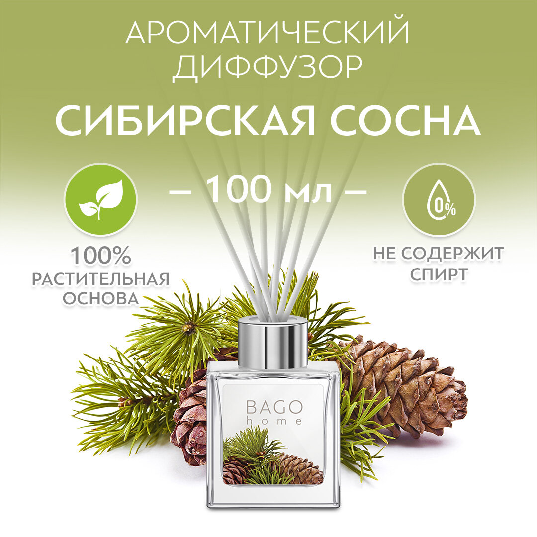 Диффузор для дома BAGO home Сибирская сосна 100 мл, без спирта, растительная основа — фото 1