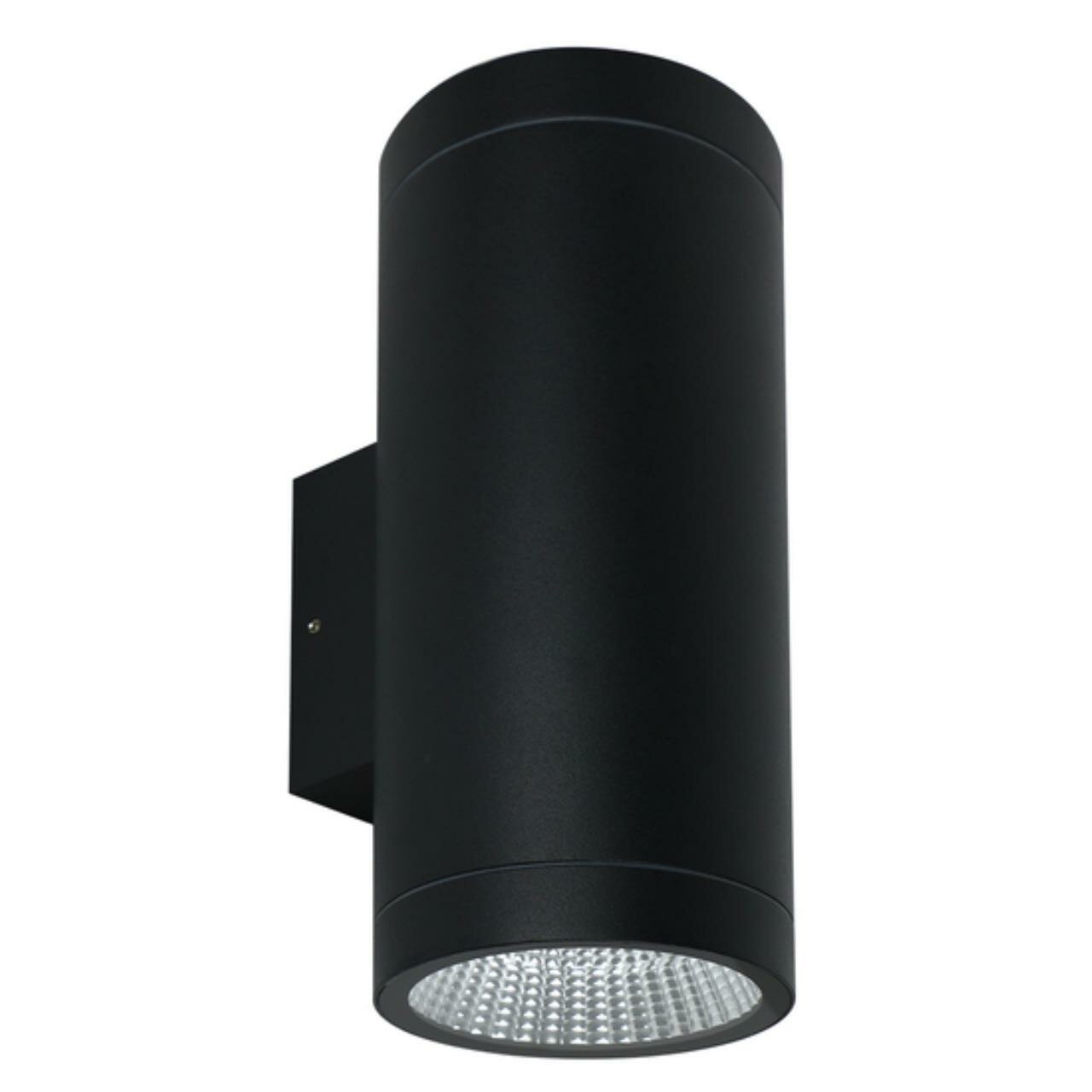 Фасадный светильник IP65 металл Arte Lamp TORCULAR A1813AL-2BK