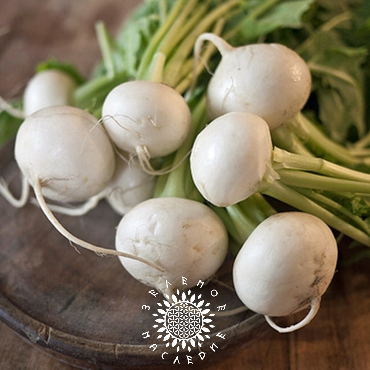 Семена Репа Гейша (лат. Brassica rapa subsp. rapa) 50шт от Green Legacy