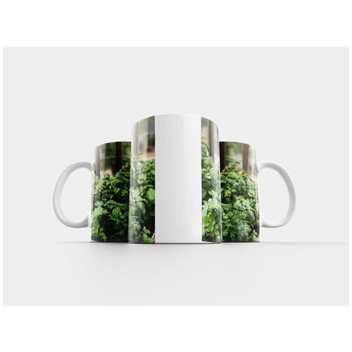 фото Кружка "травы, растения, сад" 320 мл lotsprints