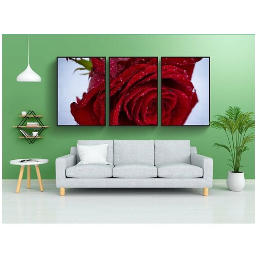 фото Набор модулных постеров для интерьера "роуз, цветок, любовь" 60x90 см. в тубусе, без рамки lotsprints