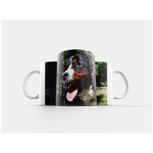 фото Кружка "собака, бернский зенненхунд, большая собака" 320 мл lotsprints