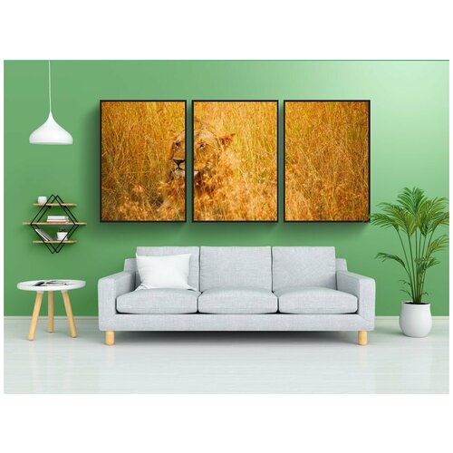 фото Набор модулных постеров для интерьера "лев, мужчина, дикая природа" 60x90 см. в тубусе, без рамки lotsprints