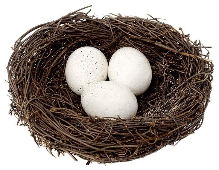 Сувенир пасхальный "Гнездо декоративное с яйцами" / Гнездо декоративное / 2 шт. / диаметр 100-110 мм , высота 35 мм (натуральный) - фотография № 1
