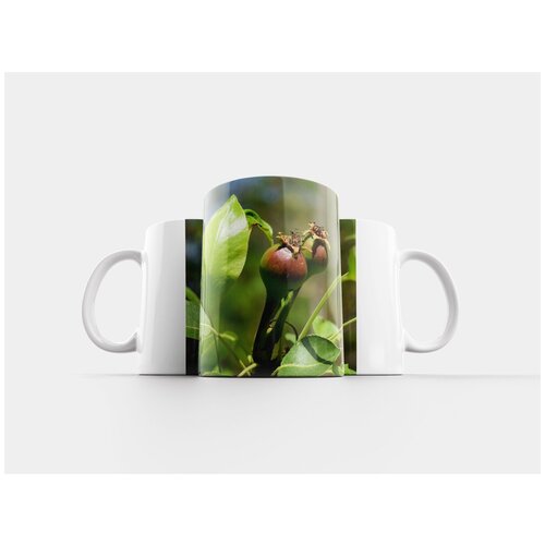 фото Кружка "новый сливы фрукты, слива, дерево" 320 мл lotsprints