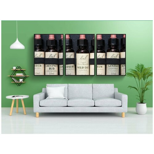 фото Набор модулных постеров для интерьера "цветочная терапия баха, цветы баха, терапия" 60x90 см. в тубусе, без рамки lotsprints