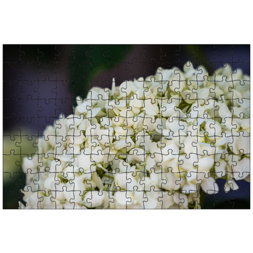 фото Магнитный пазл 27x18см."цвести, цветения, палки" на холодильник lotsprints