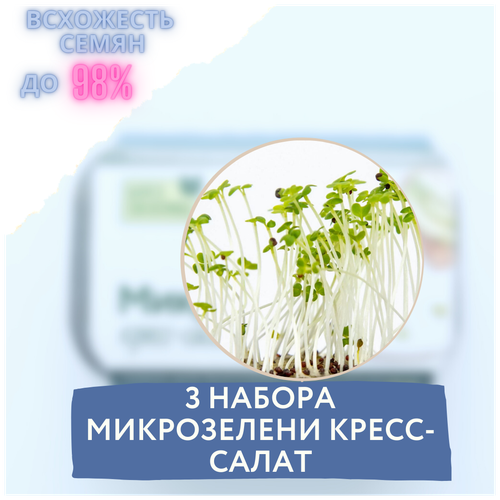 набор семян кресс салата n1 семена кресс салата Микрозелень 3 Набора для выращивания микрозелени кресс-салат (3 контейнера с семенами микрозелени и минераловатным субстратом для проращивания)