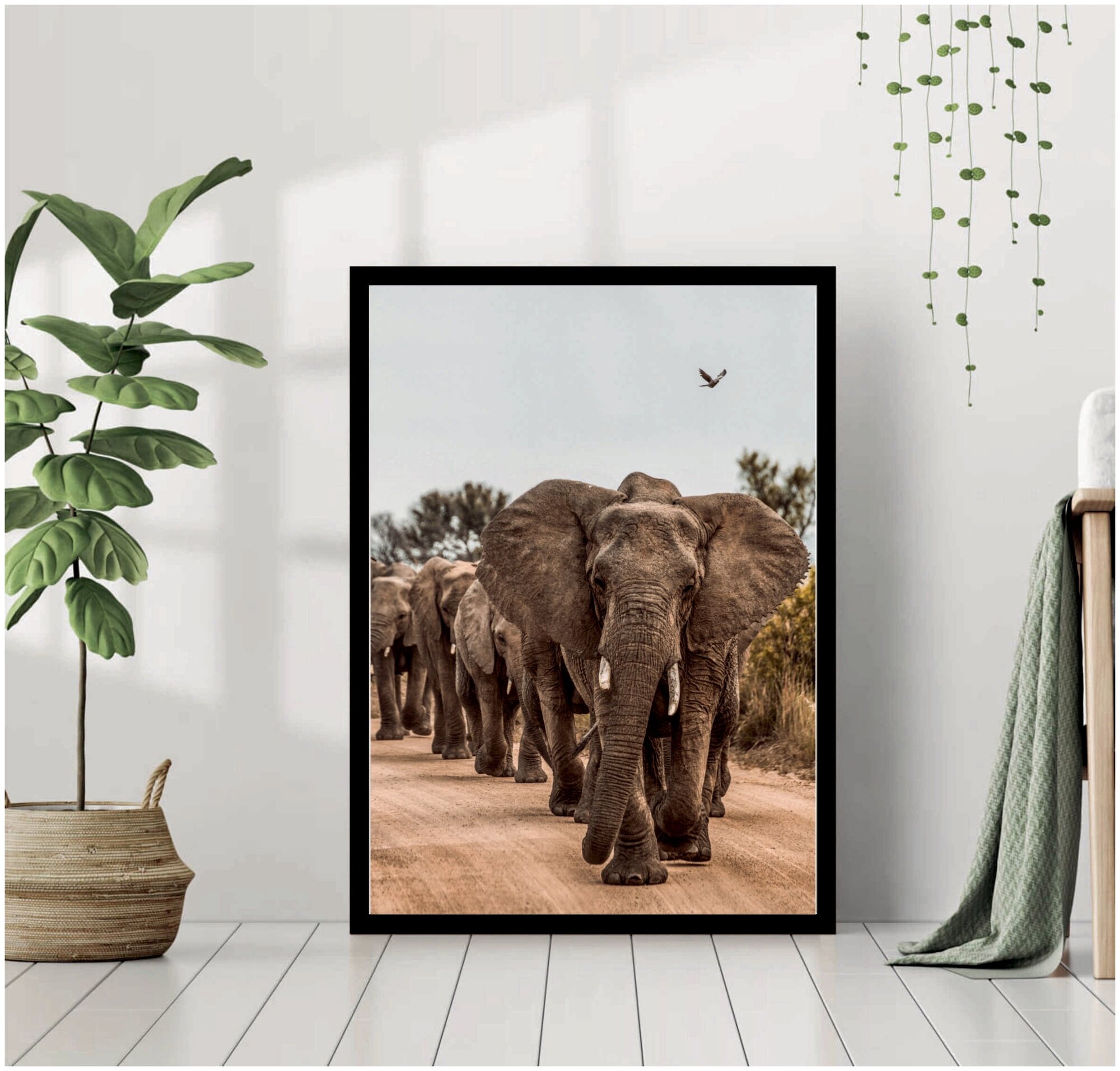 Постер В раме "Африканские слоны" 40 на 50 / Картина для интерьера / Плакат / Постер на стену / Интерьерные картины в черной рамке