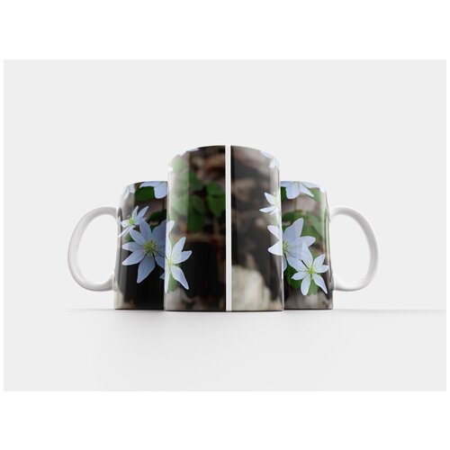 фото Кружка "сливы цветок, весна, сад" 320 мл lotsprints