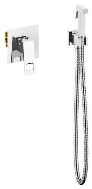 Гигиенический душ со смесителем Timo Briana 7189/00SM Хром