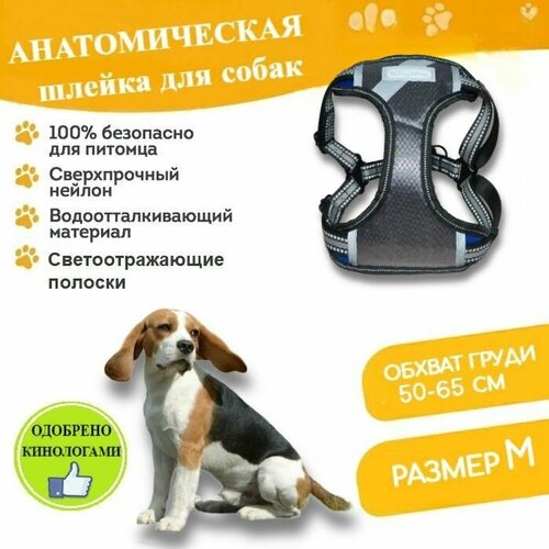 Шлейка для собак средних и крупных пород Xing Ning анатомическая обхват груди M (50-65 см), с поводком 115 см светоотражающая серая