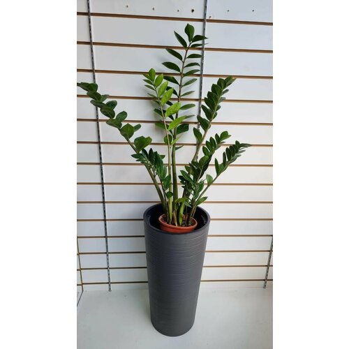 Кашпо пластиковое с системой автополива. Размер 30х30хН57 см.