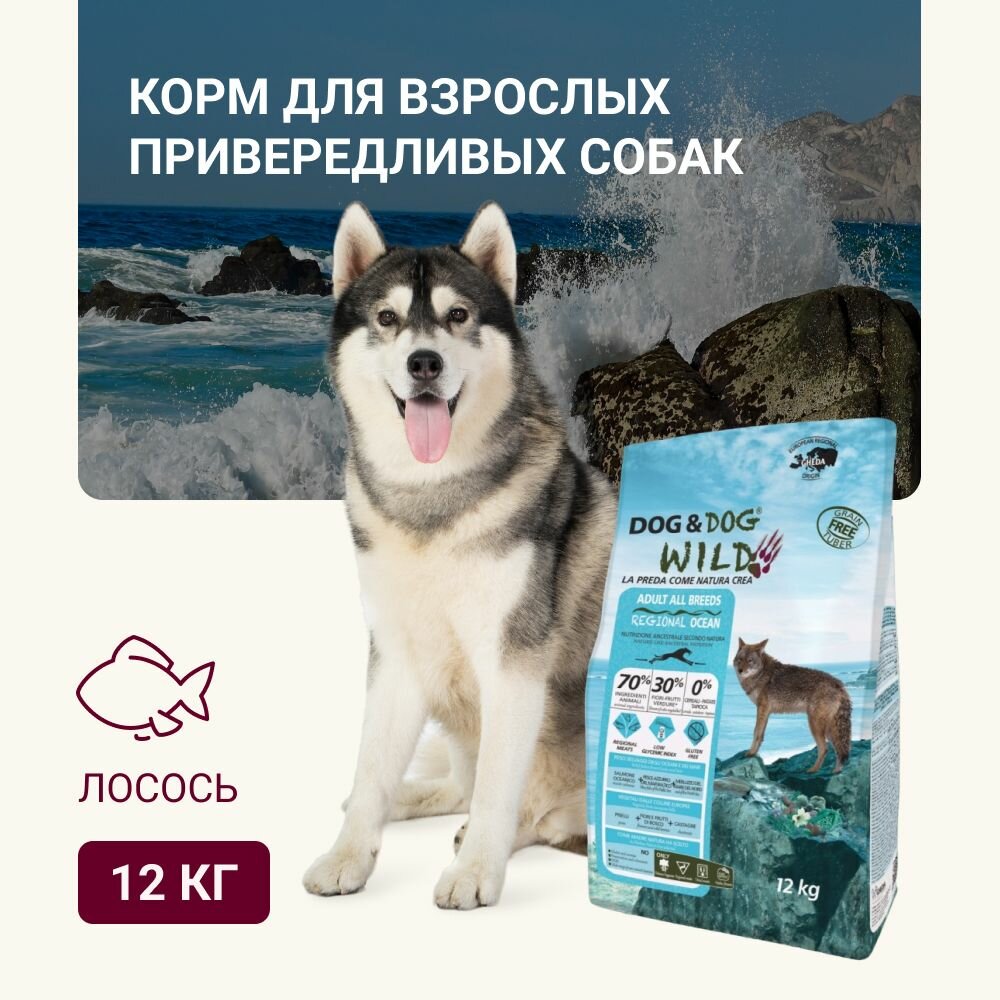 Корм для собак сухой Dog & Dog Wild Ocean, лосось 12кг (от года)