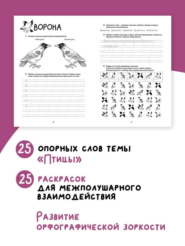 Логоментальные прописи и тренажеры для начальной школы. Птицы - фото №2
