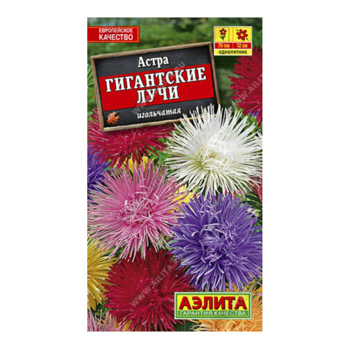 Семена Астра Гигантские лучи игольчатая 0,2г смесь Одн 70см (Аэлита)