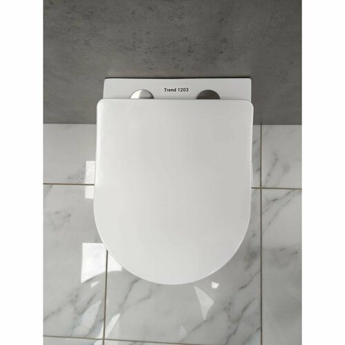 фото Инсталляция tece tecebase 2.0 9400413 + унитаз bloomix trend 1203 безободковый с сиденьем