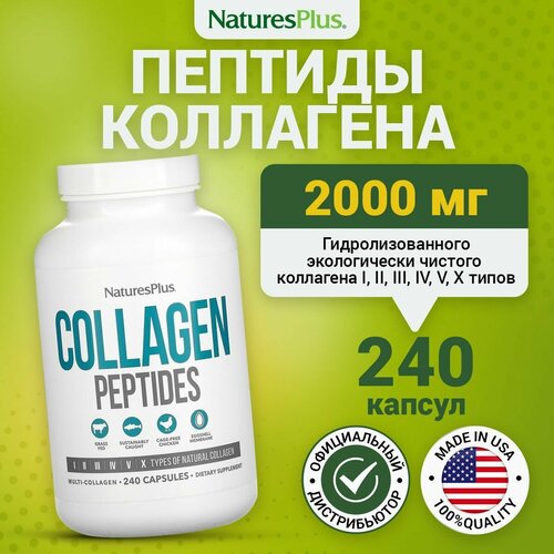 Natures Plus Collagen Peptides, Гидролизованный бычий коллаген 6 типов для суставов и связок, 240 капсул, Животный и морской коллаген для иммунитета, волос, кожи и ногтей