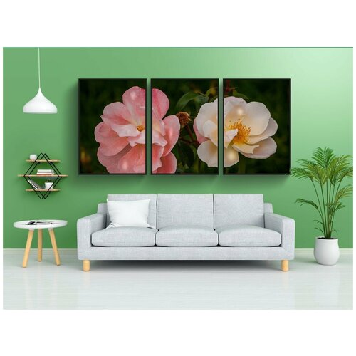 фото Набор модулных постеров для интерьера "розы, розовая роза, белая роза" 60x90 см. в тубусе, без рамки lotsprints