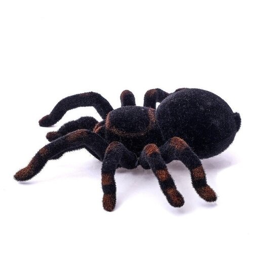 Паук радиоуправляемый Тарантул (1 шт.) edu toys паук на радиоуправлении тарантул