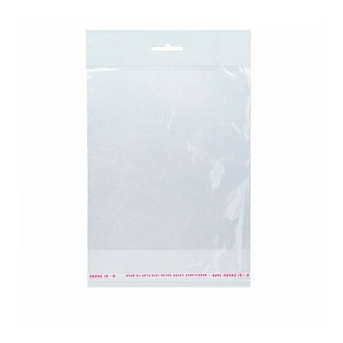 Полипропиленовый пакет 10*12см, 25мкм, с белым еврослотом, клапаном и скотчем