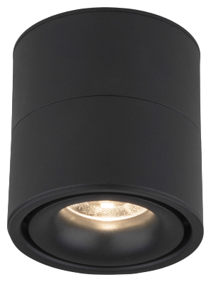 Накладной потолочный светодиодный светильник Elektrostandard DLR031 15W 4200K 3100 черный матовый