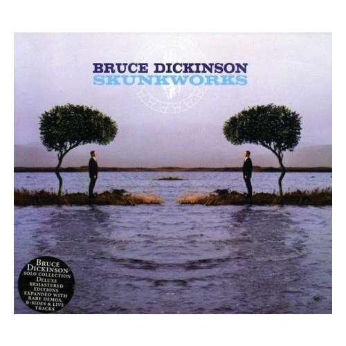 Виниловые пластинки, SANCTUARY RECORDS, BRUCE DICKINSON - Skunkworks (2LP) виниловые пластинки bmg bruce dickinson accident of birth 2lp